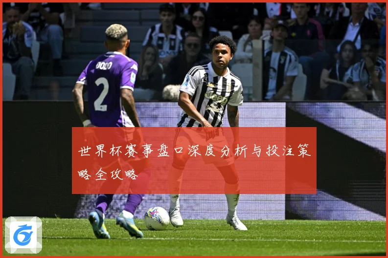 世界杯赛事盘口深度分析与投注策略全攻略