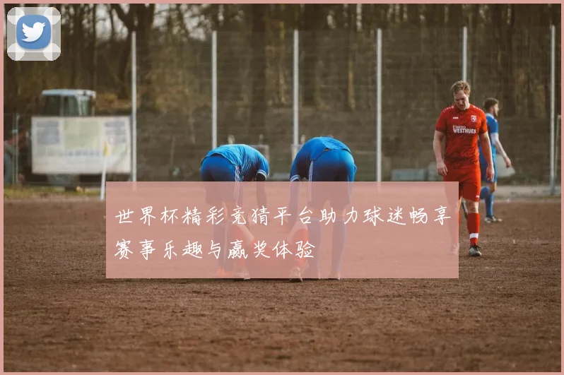 世界杯精彩竞猜平台助力球迷畅享赛事乐趣与赢奖体验