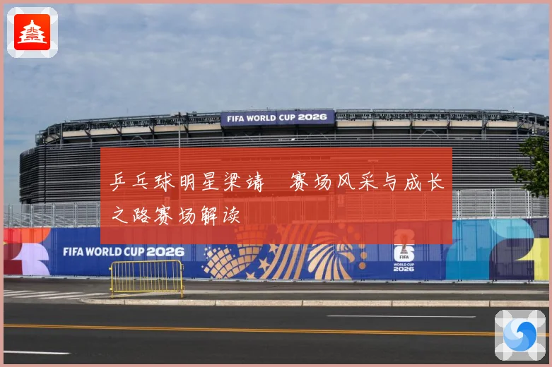 乒乓球明星梁靖崑赛场风采与成长之路赛场解读
