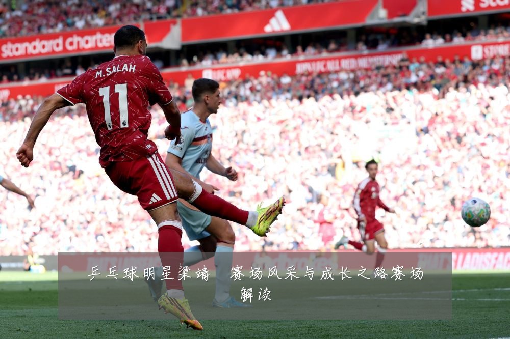 乒乓球明星梁靖崑赛场风采与成长之路赛场解读