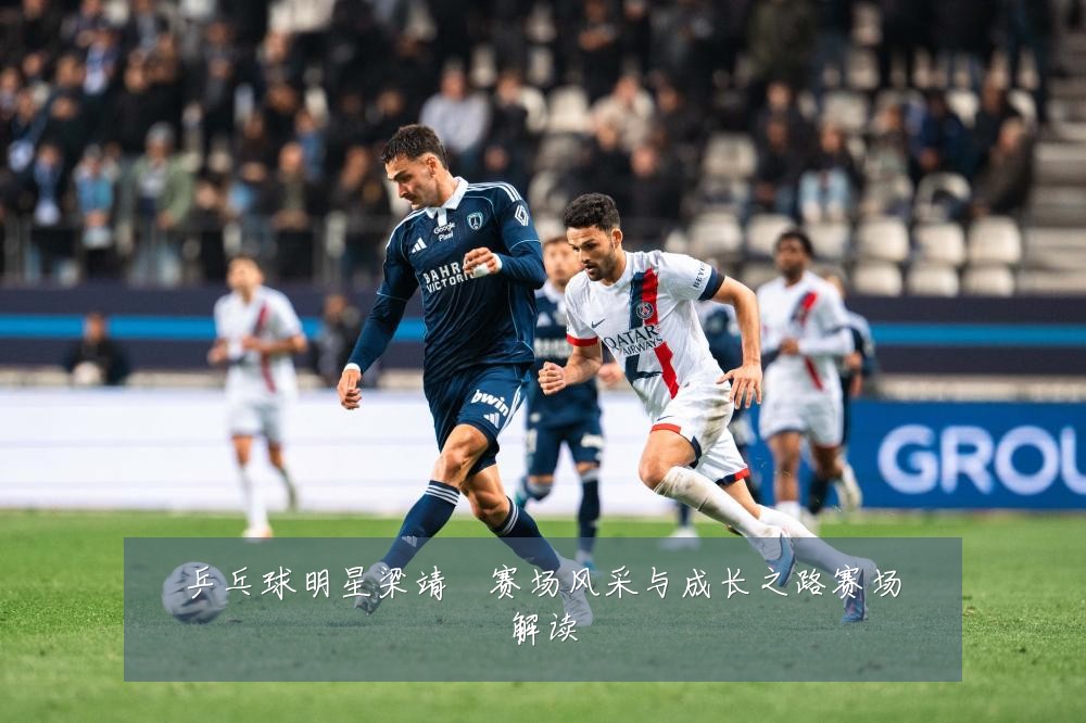 乒乓球明星梁靖崑赛场风采与成长之路赛场解读